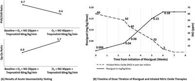 Novel use of riociguat in infants with severe pulmonary arterial hypertension unable to wean from inhaled nitric oxide